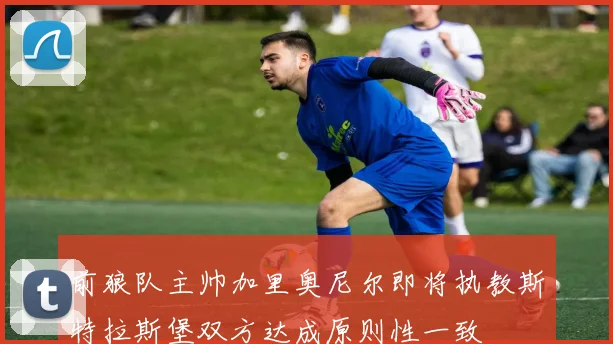 前狼队主帅加里奥尼尔即将执教斯特拉斯堡双方达成原则性一致